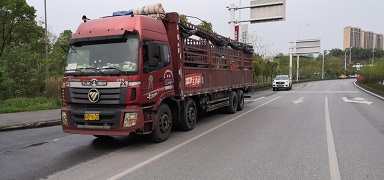 ȫ��؛܇�{(di��o)�� �O(sh��)���\(y��n)ݔ�����؛�\(y��n)܇�v����������