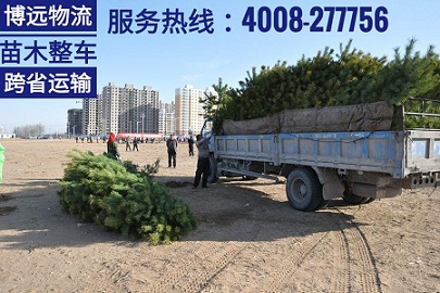 長(zhǎng)沙至河南開封8噸植物跨省運(yùn)輸.jpg 長(zhǎng)沙至河南開封8噸植物跨省運(yùn)輸.jpg