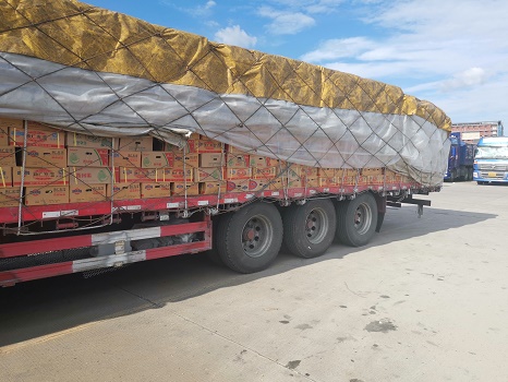 哈密瓜運(yùn)�?.jpg 哈密瓜運(yùn)�?.jpg