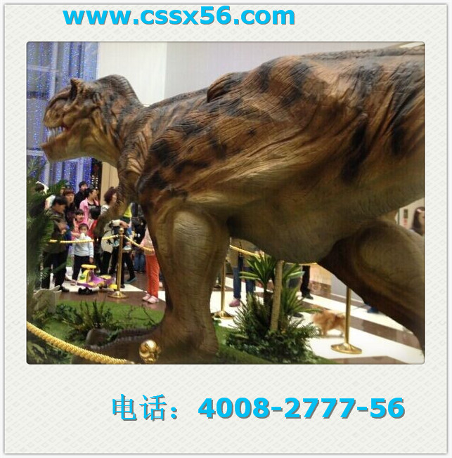 �L(zh��ng)ɳ������������˾���L(zh��ng)ɳ���h(yu��n)����